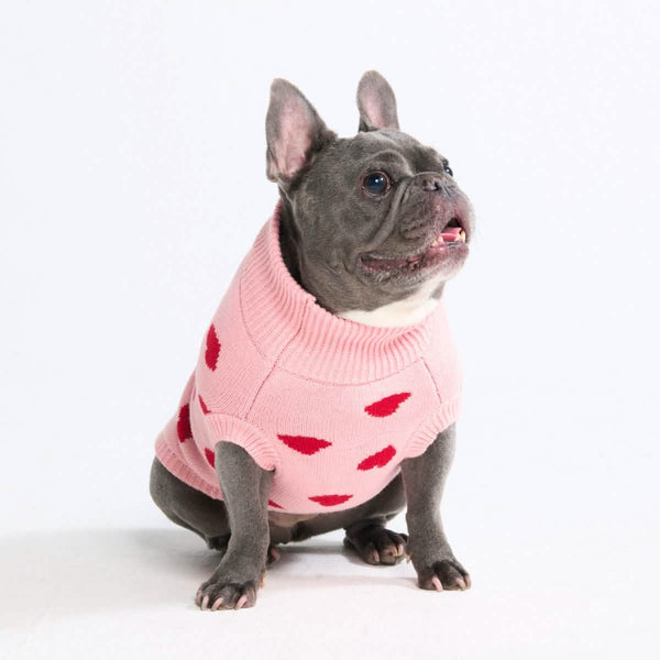 Hearts Knit Dog Sweater
