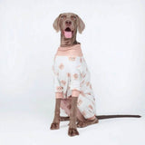 Bear Beige PJ
