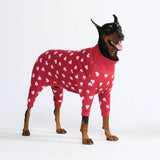 Red Hearts PJ