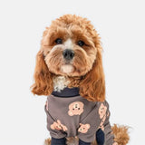 Bear Black PJ