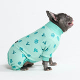 Cactus PJ