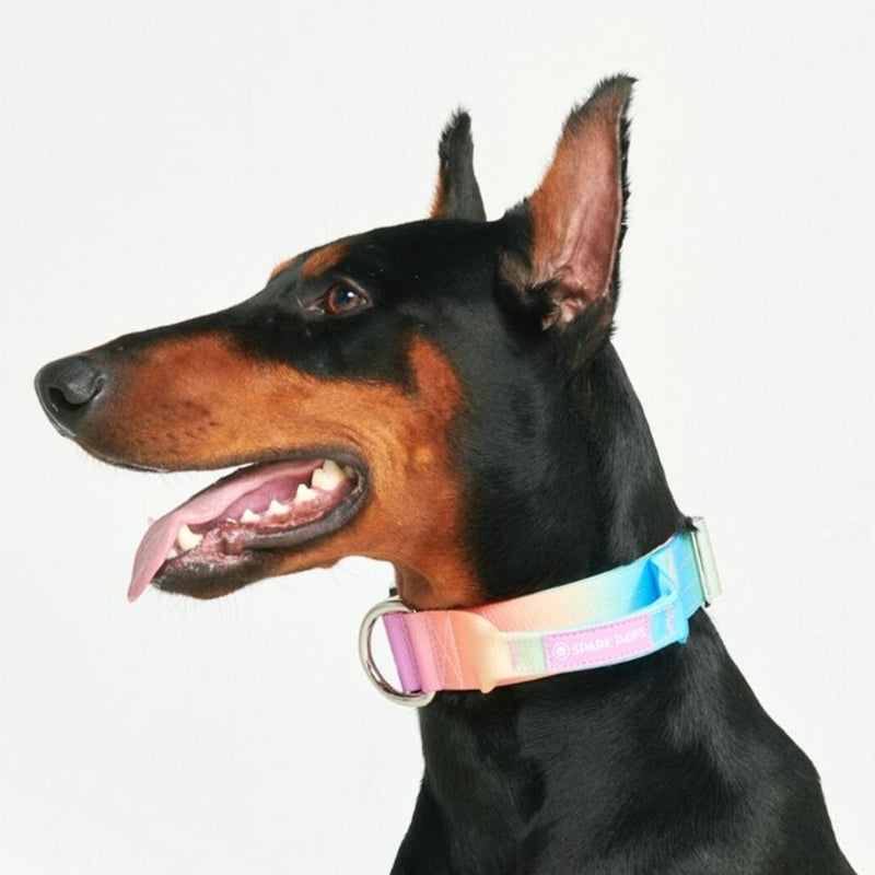 Comfort Control Collar - Pastel Icing