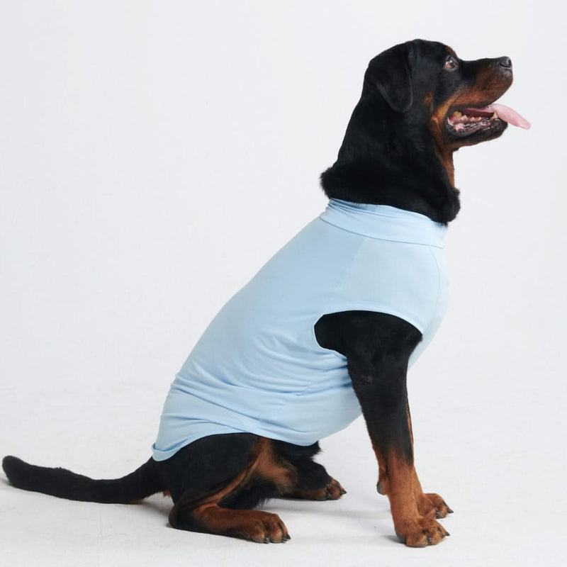 Sunblock Dog T-Shirt - Blue