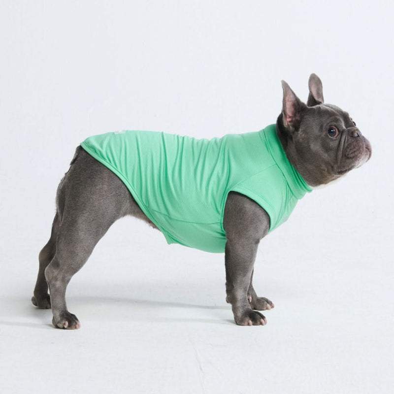 Sunblock Dog T-Shirt - Mint