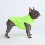 Sunblock Dog T-Shirt - Neon