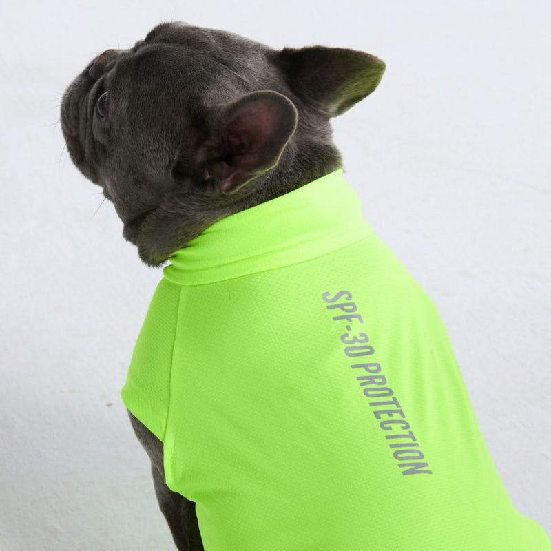 Sunblock Dog T-Shirt - Neon