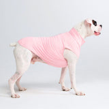 Sunblock Dog T-Shirt - Pink