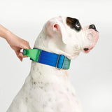 Lime Wave Collar