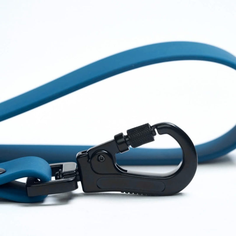 Blue PVC Leash