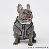 Ultra-Soft Activewear Harness Set - Grey