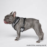 Ultra-Soft Activewear Harness - Grey