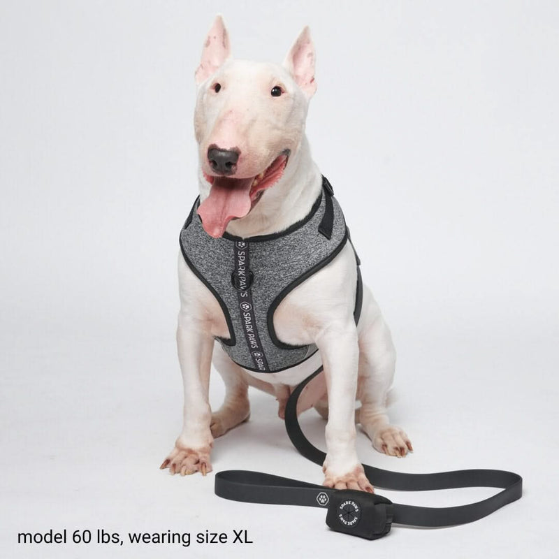 Salt and Pepper Cushion Harness