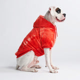 Velvet Dog Hoodie - Ruby Red