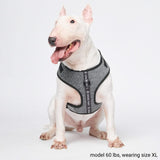 Salt and Pepper Cushion Harness