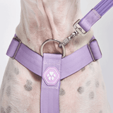 Comfort Control™ No-Pull Dog Harness - Lilac