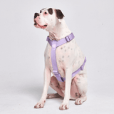 Comfort Control™ No-Pull Dog Harness - Lilac