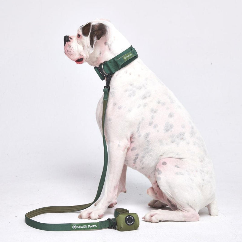 Comfort Control Collar Set - Army Green