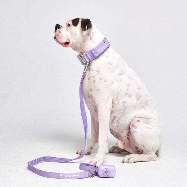 Comfort Control Collar Set - Lilac