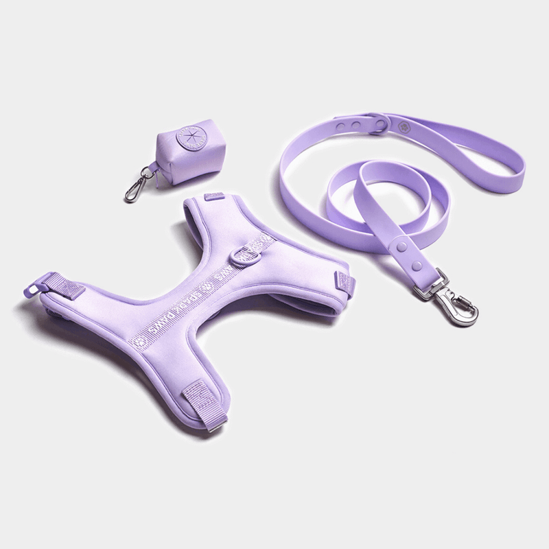 Lilac Cushion Harness