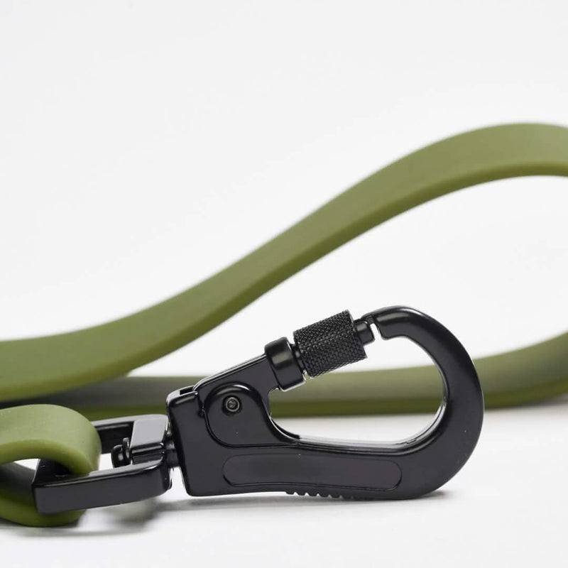 Waterproof PVC Dog Leash - Green