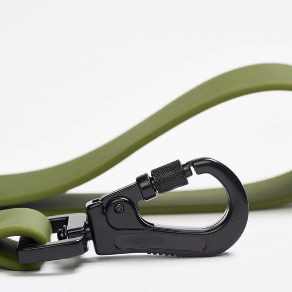 Green PVC Leash