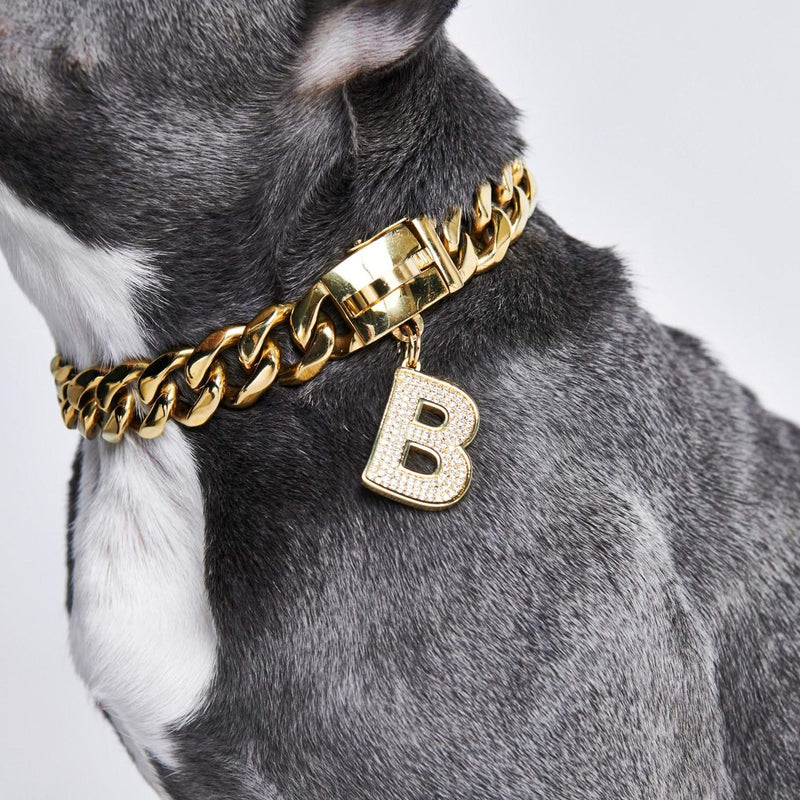 Gold initial letter pendant jewelry tag for dogs, pet ID tag for small and big dogs, bling for dogs, charms for dogs