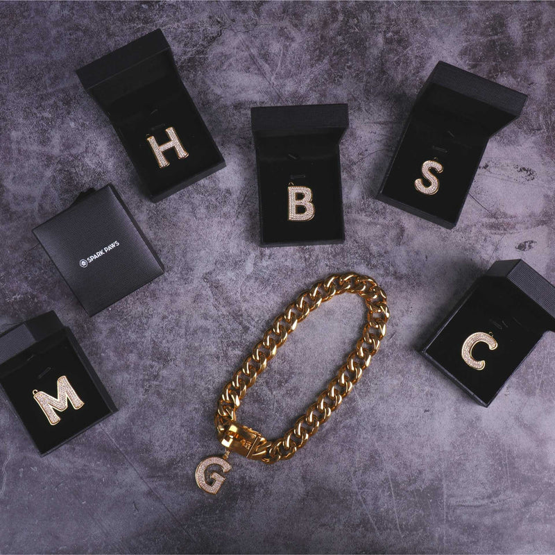 Initial Letter Jewelry Tag - G