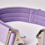 Comfort Control Collar Set - Lilac