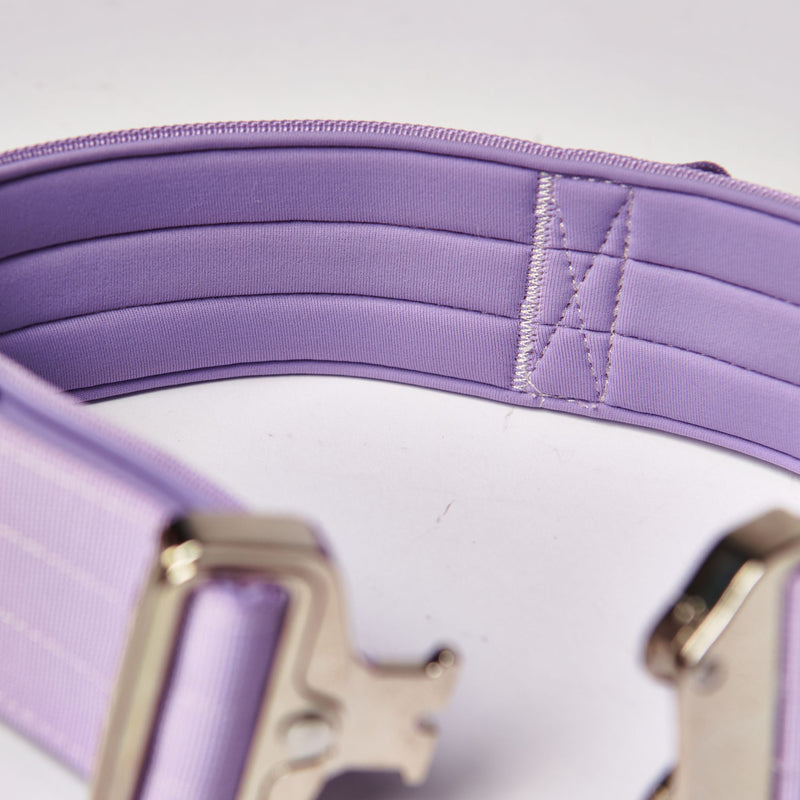 Comfort Control Collar Set - Lilac