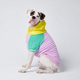 Purple Turquoise Yellow Dog Hoodie (SIZE S)