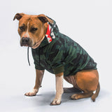 Shark Monster Dog Hoodie - Green Camo