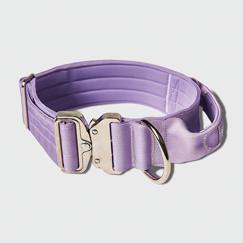 Comfort Control Collar Set - Lilac