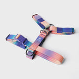 Comfort Control No-Pull Dog Harness Set - Kaleidoscope