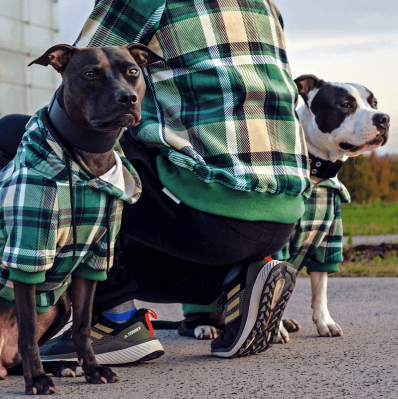 Green Plaid Dog Hoodie