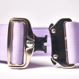 Comfort Control Collar - Lilac