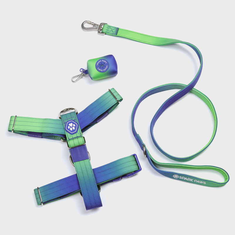 Comfort Control No-Pull Dog Harness Set - Lime Wave