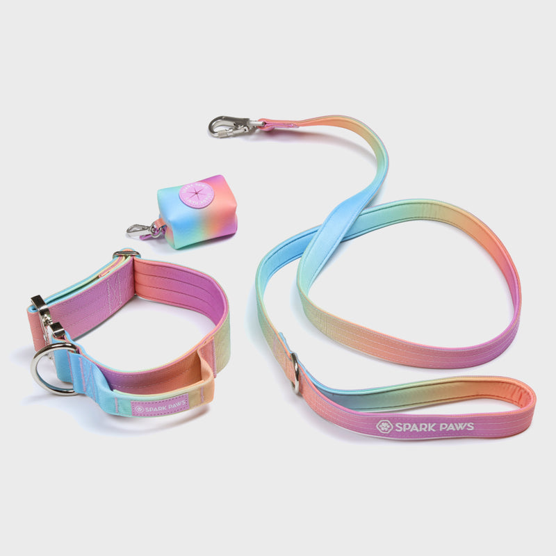 Comfort Control Collar Set - Pastel Icing