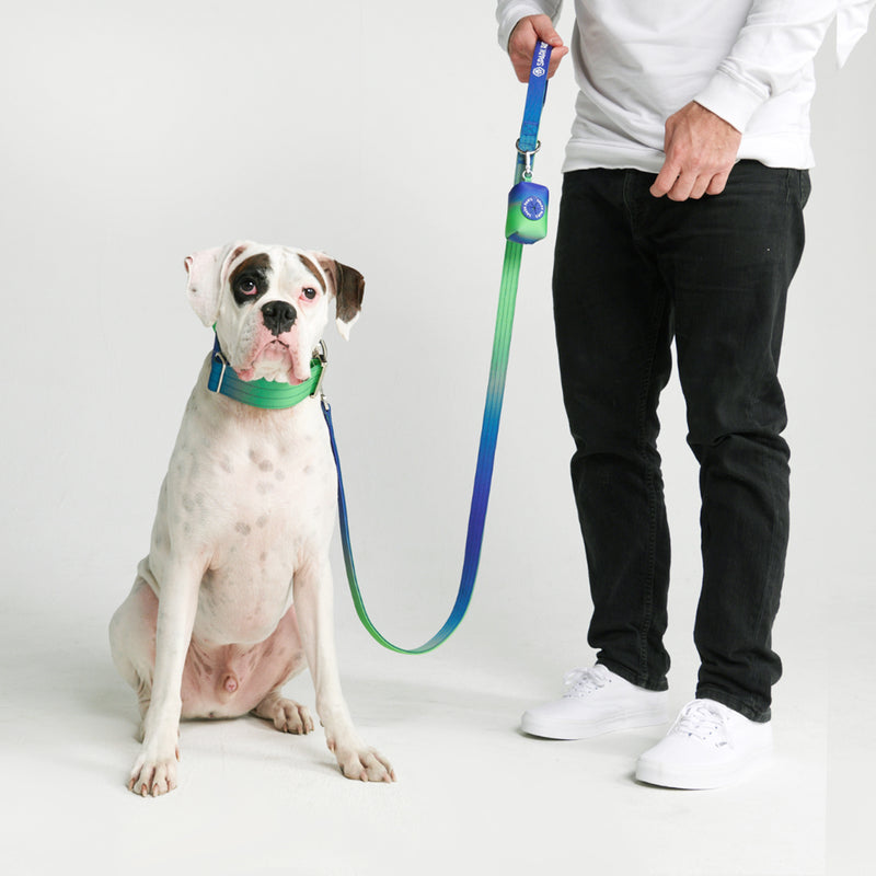 Poop Bag Holder- Lime Wave