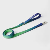 Comfort Control Dog Leash - Lime Wave