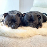 Faux Fur Memory Foam Rug Dog Bed