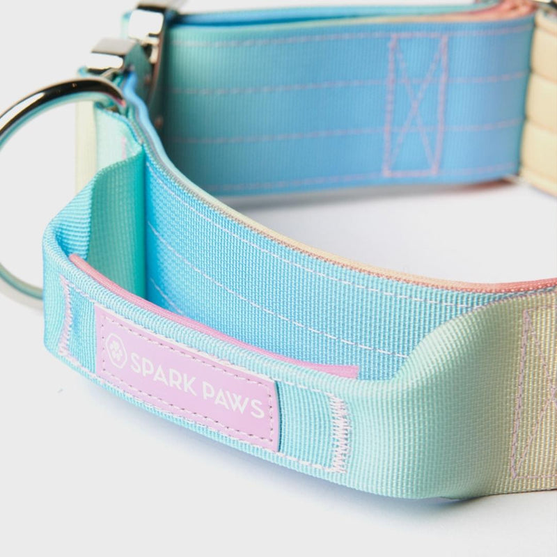 Comfort Control Collar - Pastel Icing